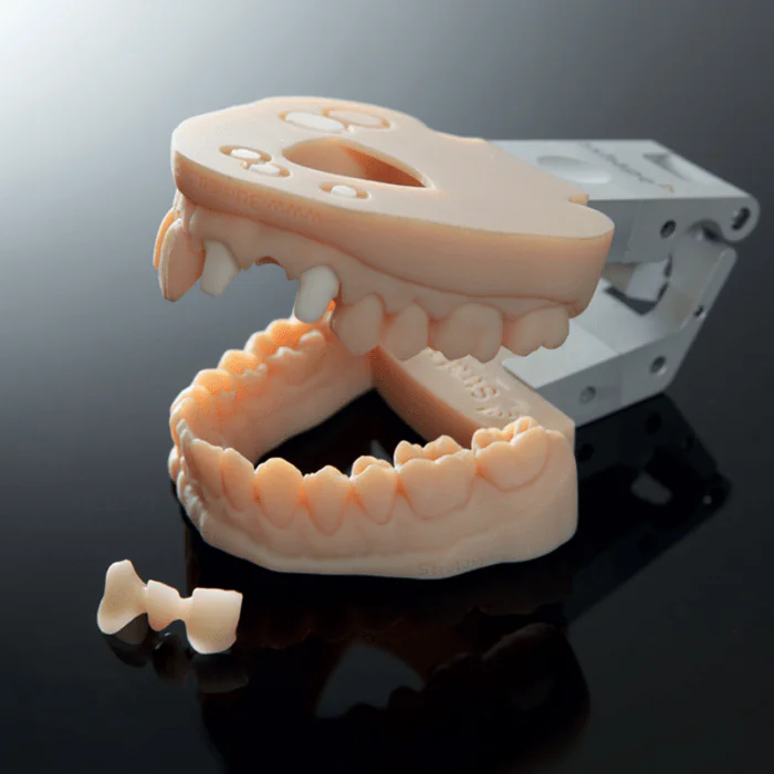 3shape articulator buccal