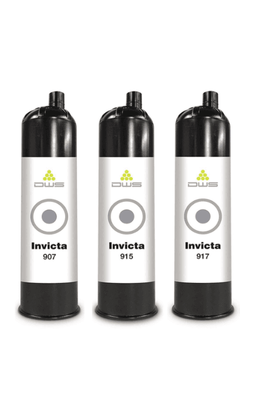 dws invicta serie